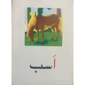 کارت الفبای فارسی دید آموز